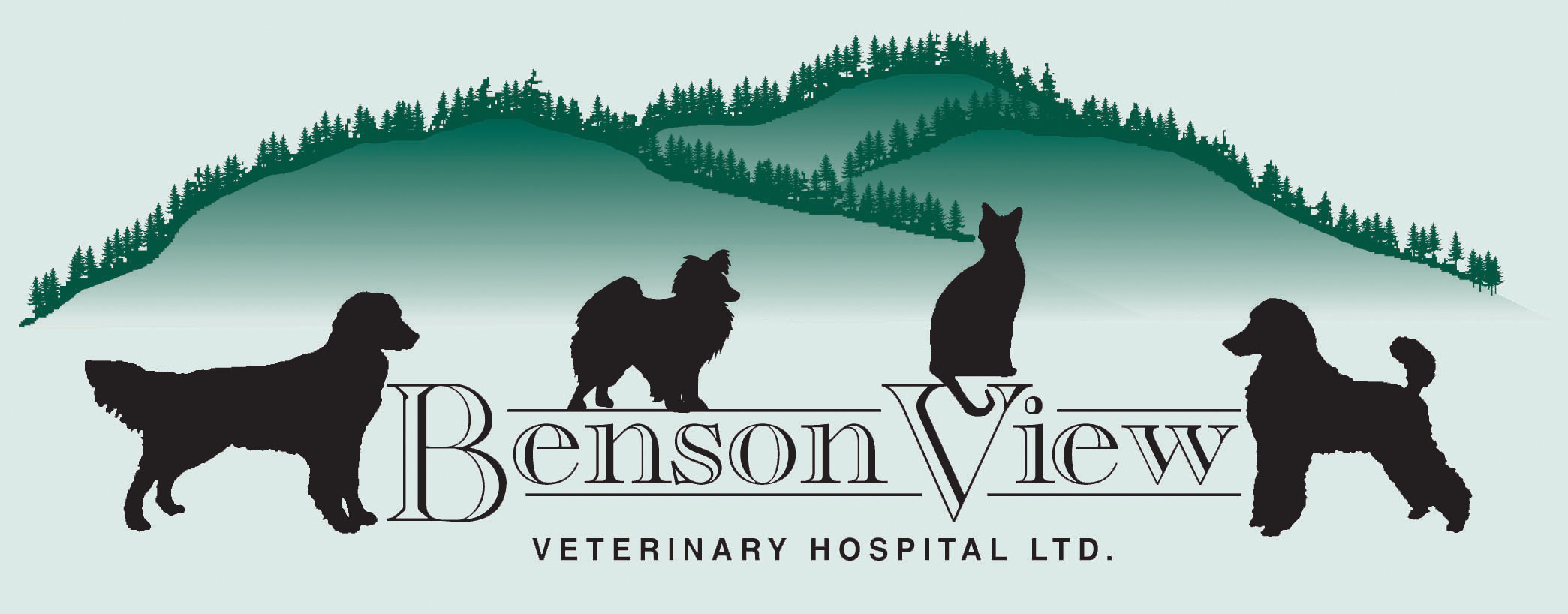 Benson View Veterinary Hospital